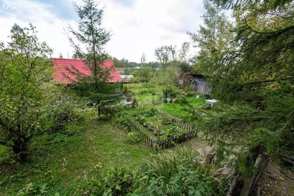 Дом в Комсомольск-на-Амуре, СНТ Хумми, Дорожная улица (25 м) - Фото 1