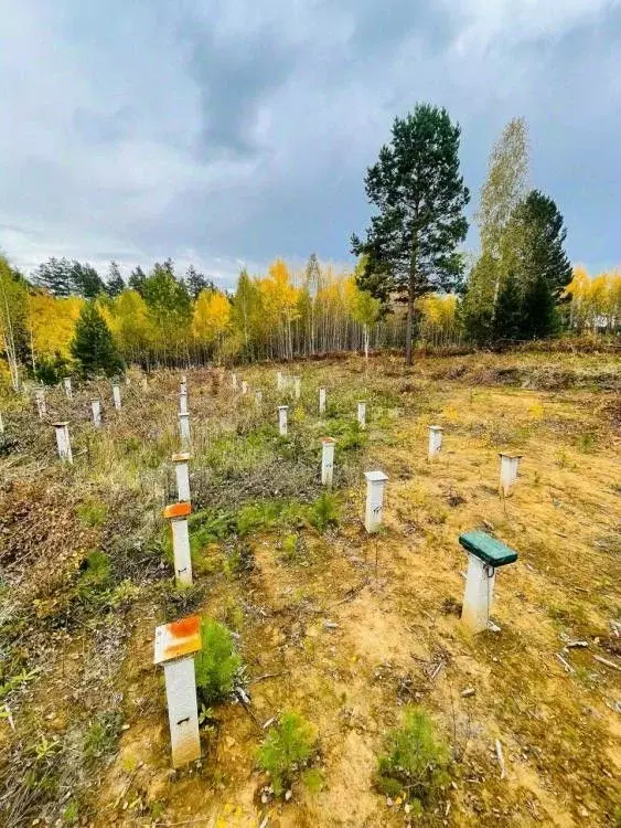 Участок в Иркутская область, Иркутский муниципальный округ, д. ... - Фото 1