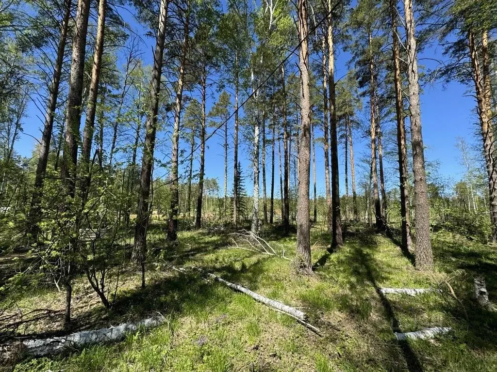 Участок в Свердловская область, Ревда городской округ, с. Кунгурка ул. ... - Фото 0