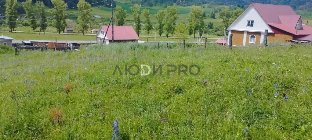 Участок в Алтай, Шебалинский район, с. Шебалино ул. Радуги, 2 (14.0 ... - Фото 1