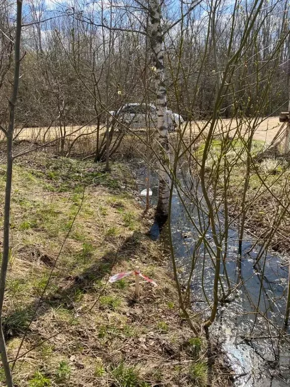 Участок в Ленинградская область, Кингисеппский район, Нежновское ... - Фото 2