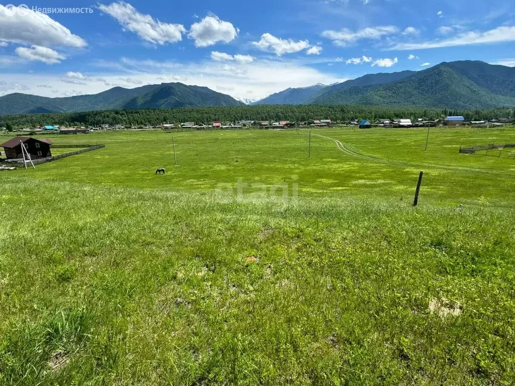 Участок в Усть-Коксинский район, село Тюнгур (15.2 м) - Фото 1