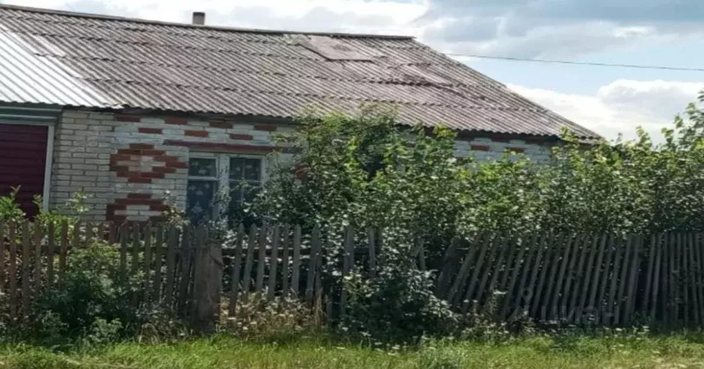 Помещение свободного назначения в Курганская область, Куртамышский ... - Фото 1