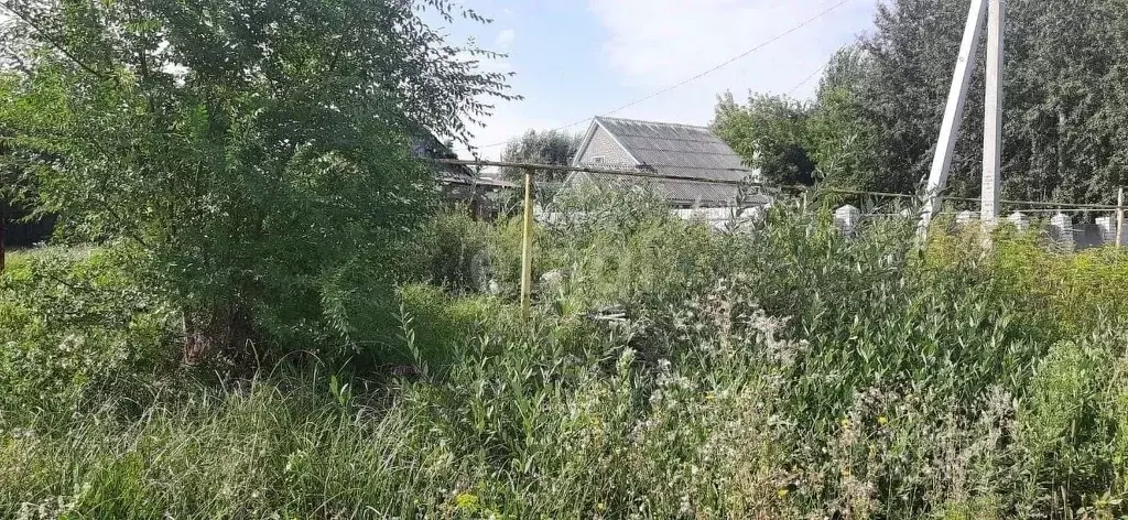 Участок в Воронежская область, с. Новая Усмань ул. Набережная (12.0 ... - Фото 0