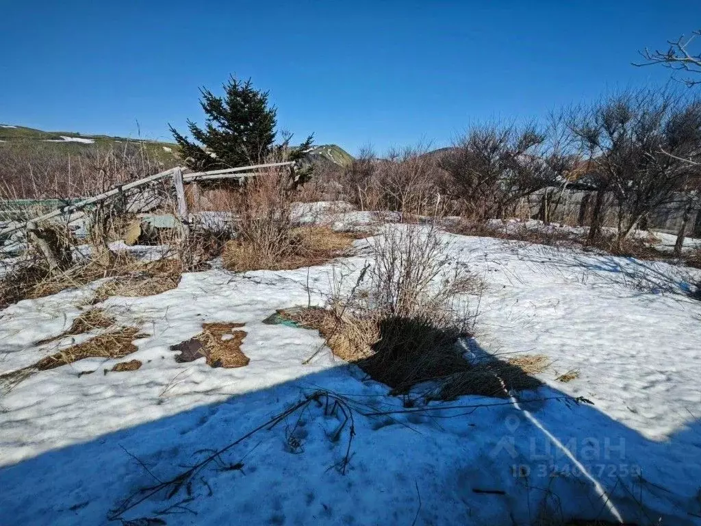 Участок в Сахалинская область, Невельский городской округ, с. ... - Фото 1