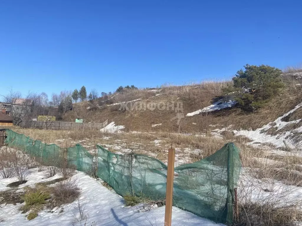 Участок в Новосибирская область, Новосибирский район, с. Кубовая ... - Фото 1