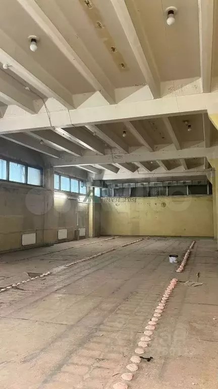 Помещение под услуги, торговое, офис, 304.5 кв. м - Фото 1
