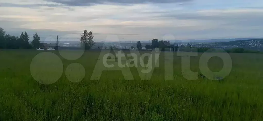 Участок 5 га (СНТ, ДНП) - Фото 1