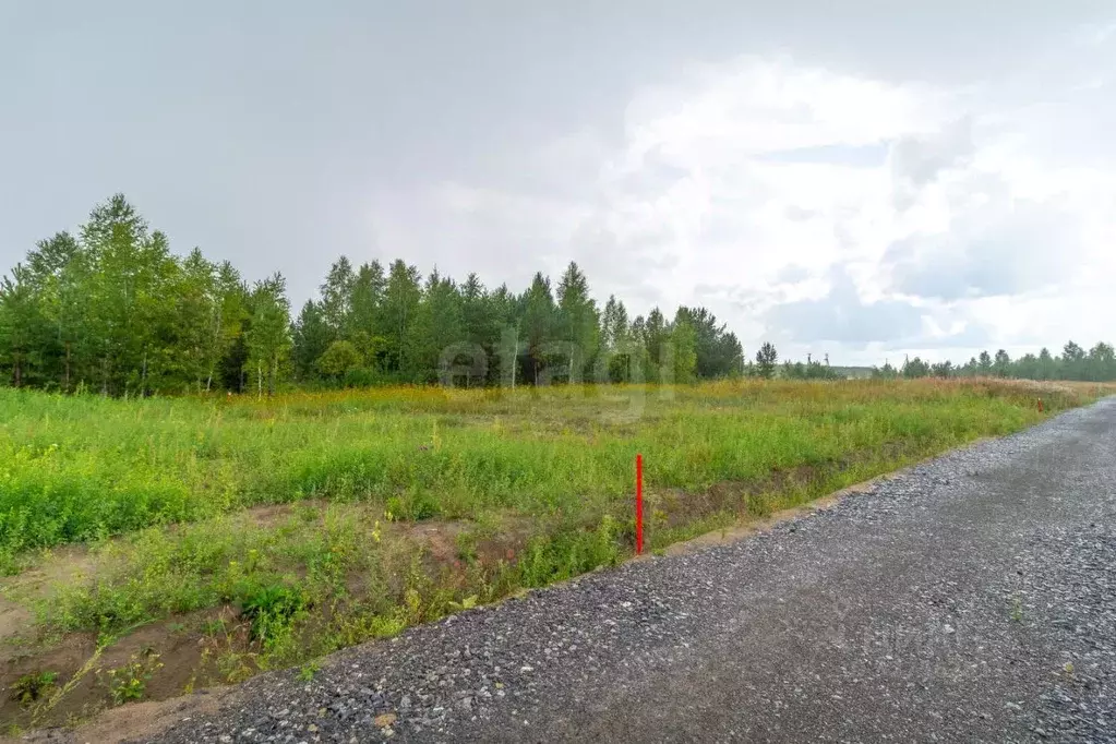 Участок в Тюменская область, Нижнетавдинский муниципальный округ, ... - Фото 1