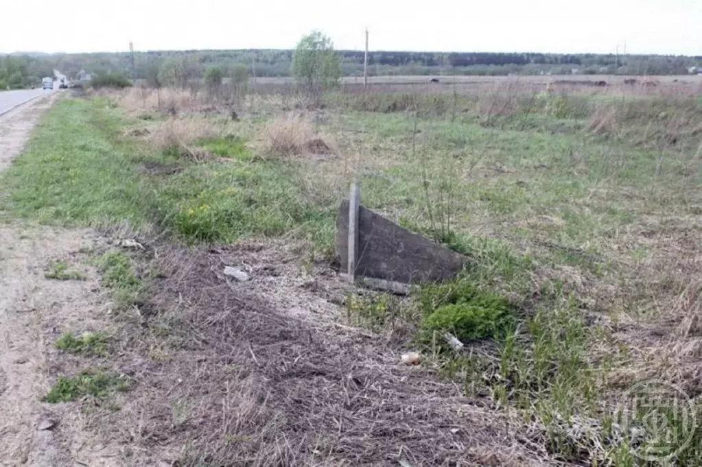 Участок в Ленинградская область, Ломоносовский район, Русско-Высоцкое ... - Фото 1