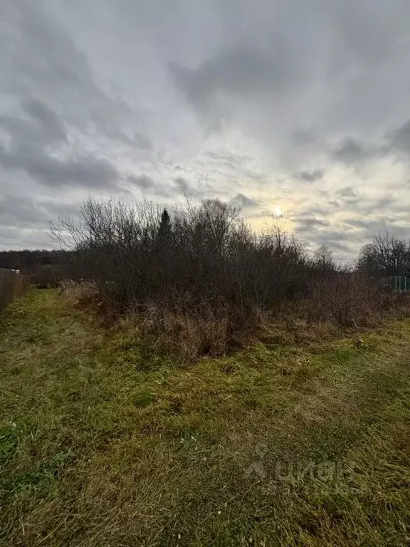 Участок в Московская область, Ступино городской округ, д. Колдино  ... - Фото 1