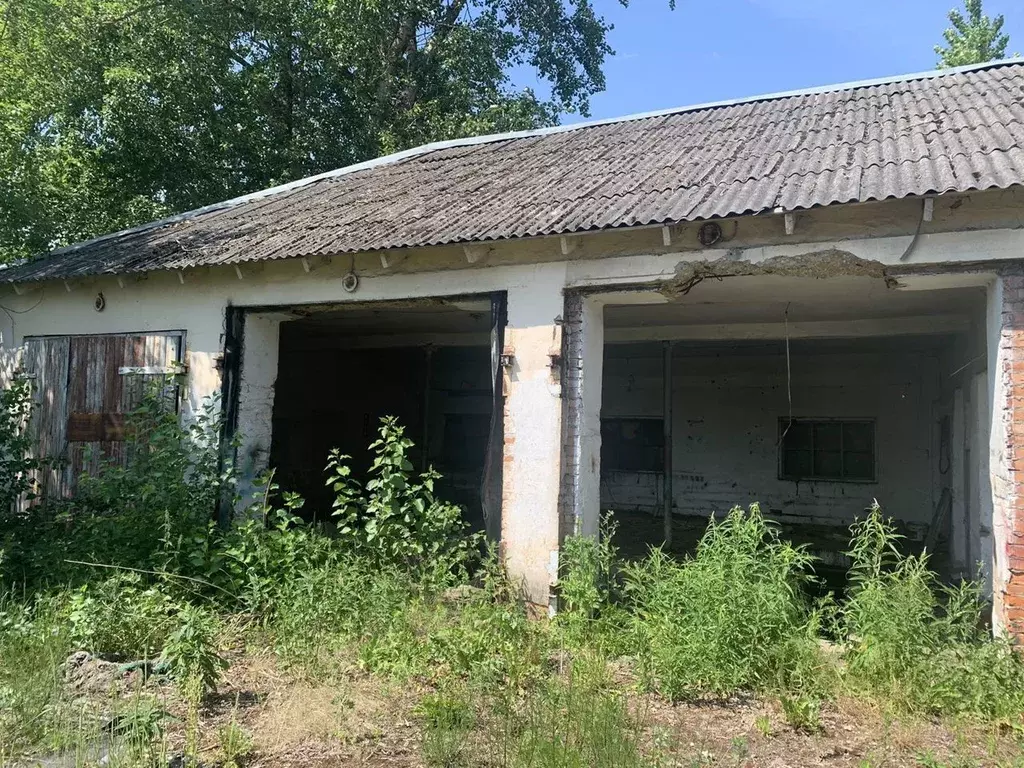 Производственное помещение в Новгородская область, Боровичи ... - Фото 1