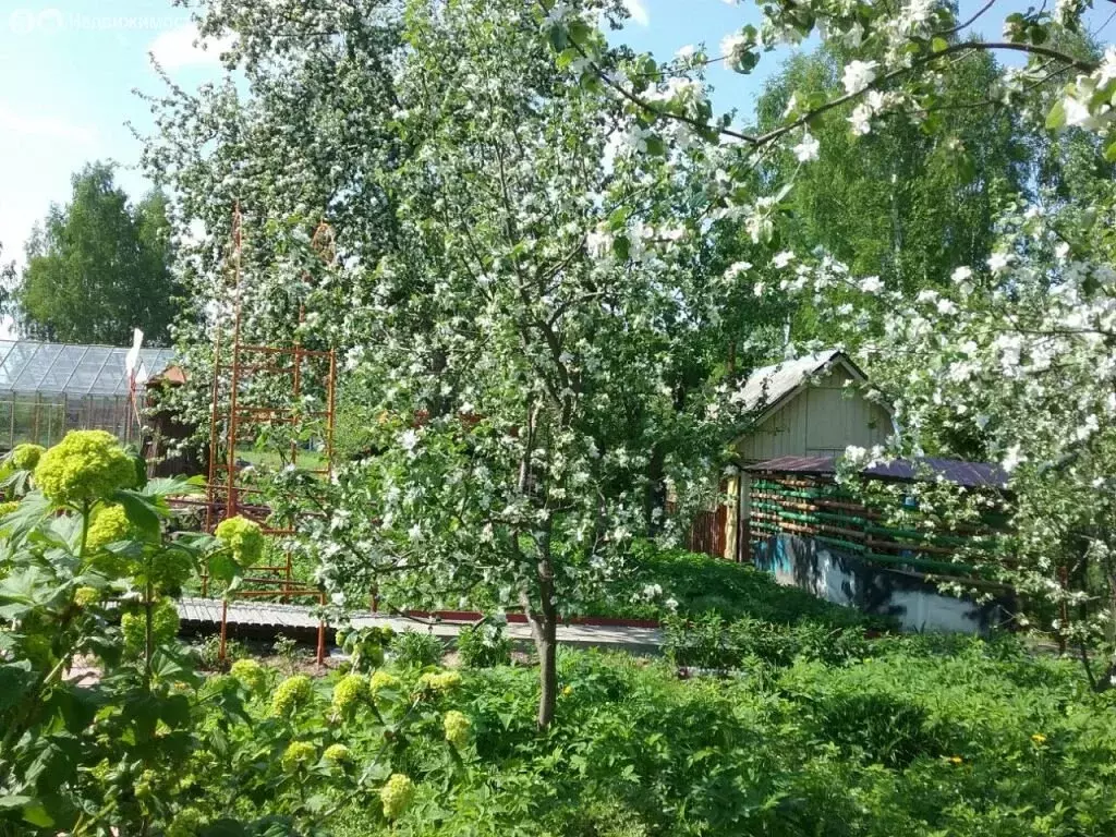 Дом в Костромской район, Чернопенское сельское поселение, деревня ... - Фото 1