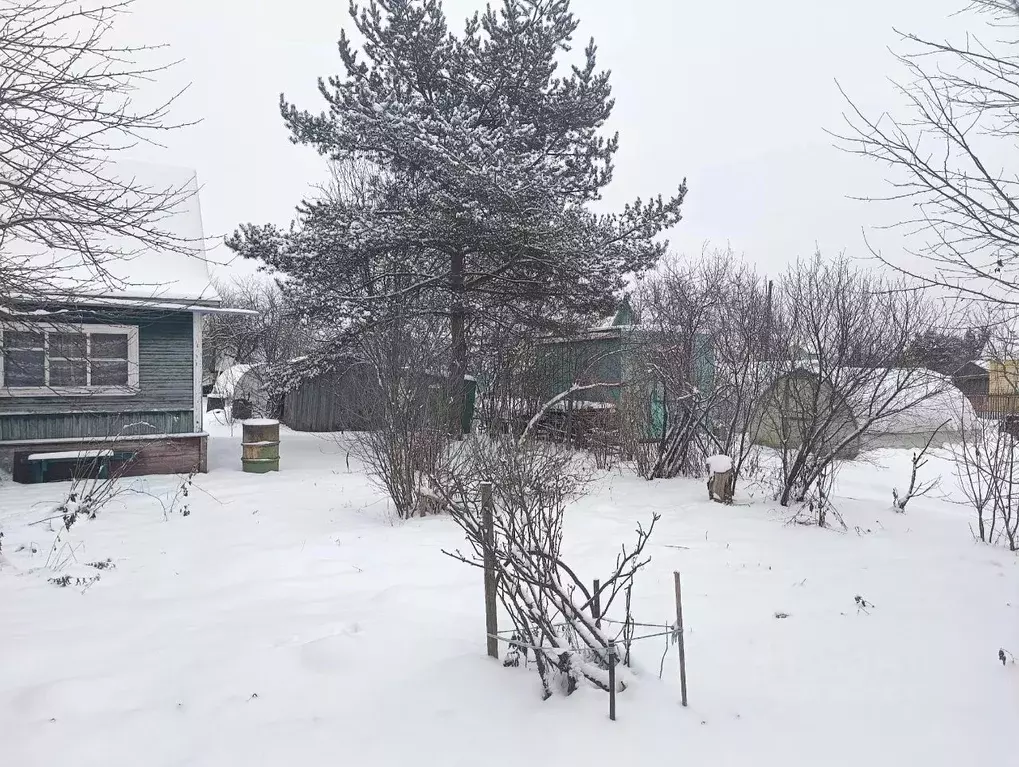 Дом в Вологодская область, Вологда Левково садоводческое товарищество, ... - Фото 1