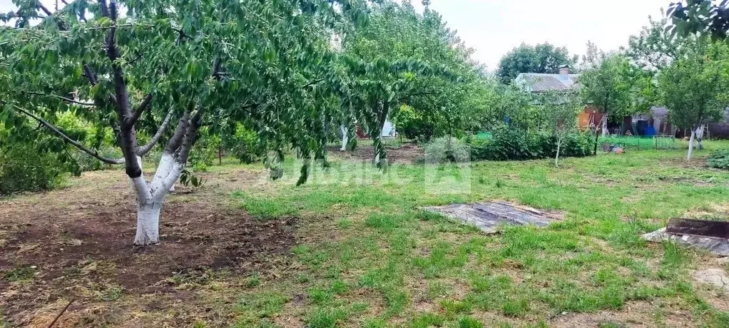 Участок в Ростовская область, Волгодонск Лесобазовская ул. (5.0 сот.) - Фото 1