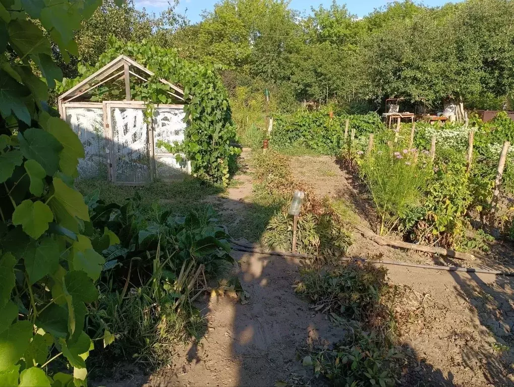 Дом в Ростовская область, Донецк пос. Песчановка,  (30 м) - Фото 1