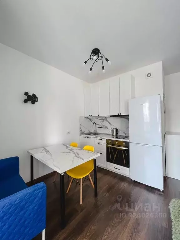 Студия Санкт-Петербург ул. Ультрамариновая, 4 (24.3 м) - Фото 1