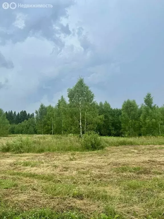 Участок в Московская область, Волоколамск (7.92 м) - Фото 2