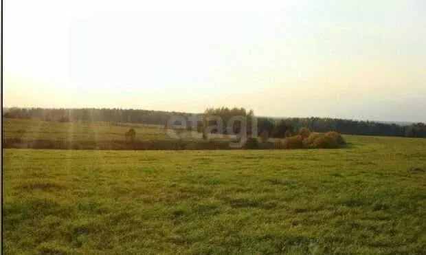 Участок в Киров, СДТ Радуга-Радужный (6 м) - Фото 1