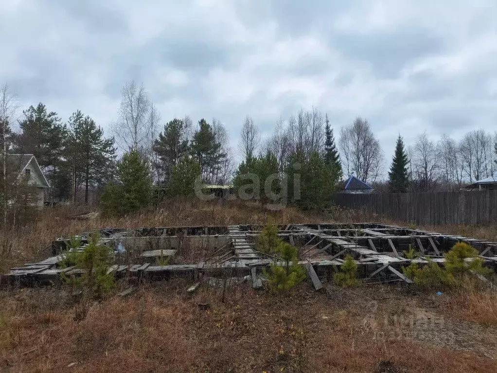 Участок в Архангельская область, Котлас ул. Бор (10.0 сот.) - Фото 1