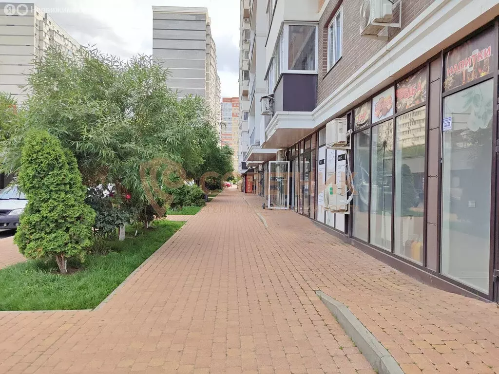 Квартира-студия: Краснодар, улица Григория Пономаренко, 43 (23.5 м) - Фото 2