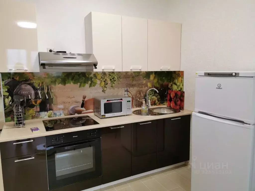 Студия Московская область, Балашиха городской округ, д. Павлино 66 ... - Фото 1