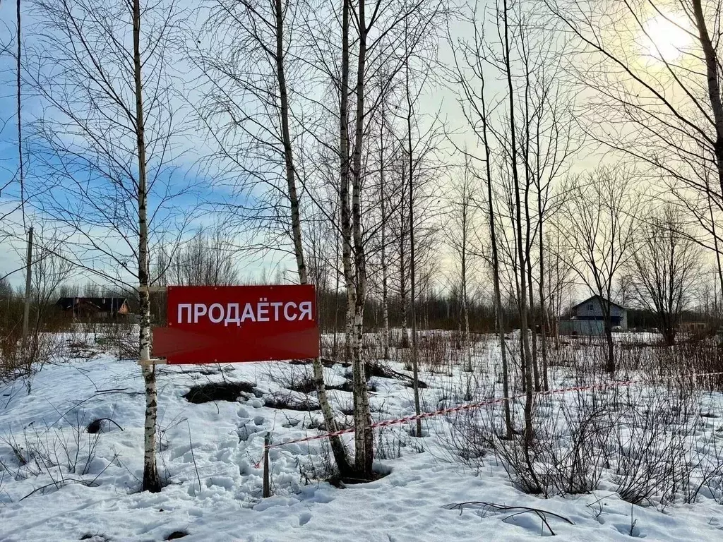 Участок в Новгородская область, Новгородский район, Савинское с/пос, ... - Фото 2