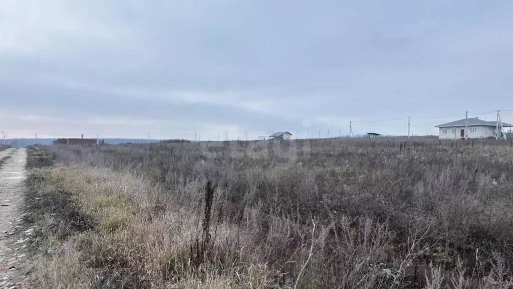 Участок в Воронежская область, Семилукский район, с. Девица ул. ... - Фото 1