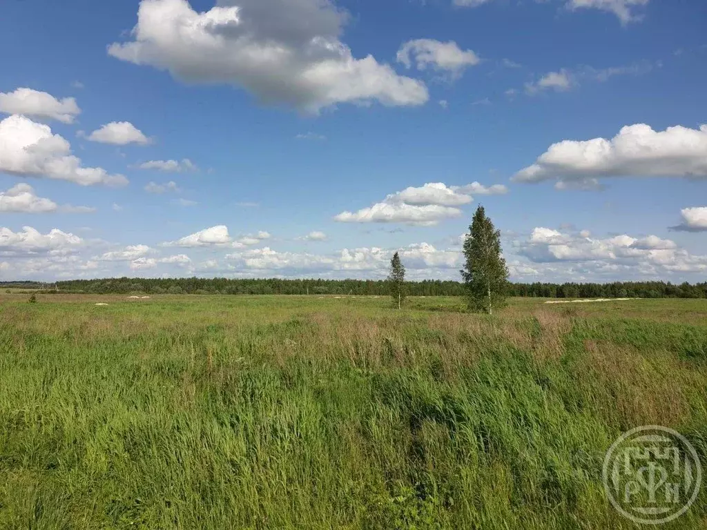 Участок, 4200 сот., сельхоз (снт или днп) - Фото 0