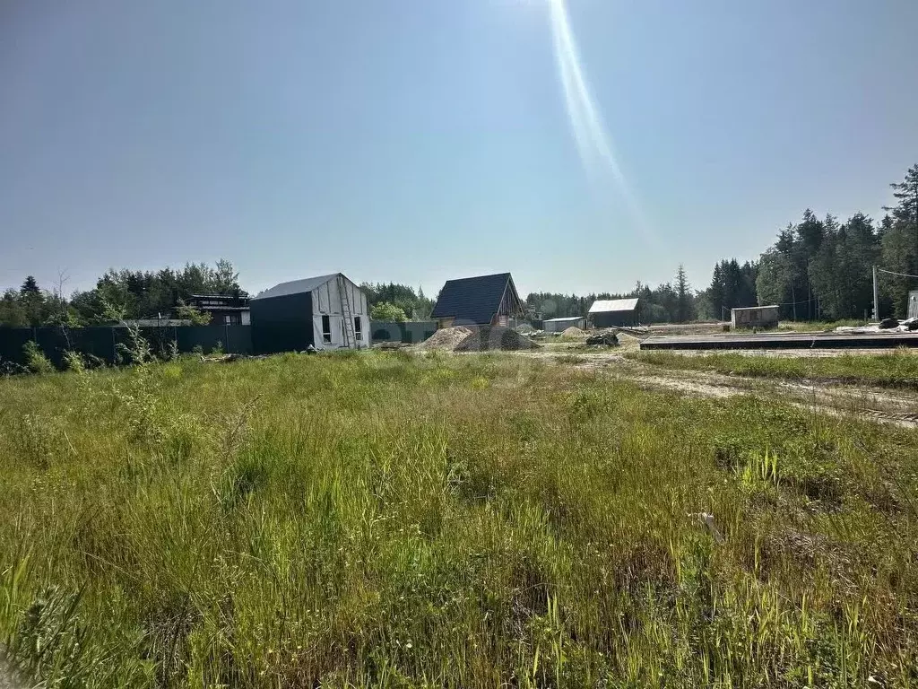 Участок в Ленинградская область, Всеволожский район, Агалатовское ... - Фото 1