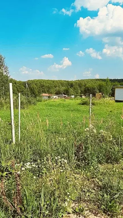 Участок в Нижегородская область, Богородский муниципальный округ, д. ... - Фото 0