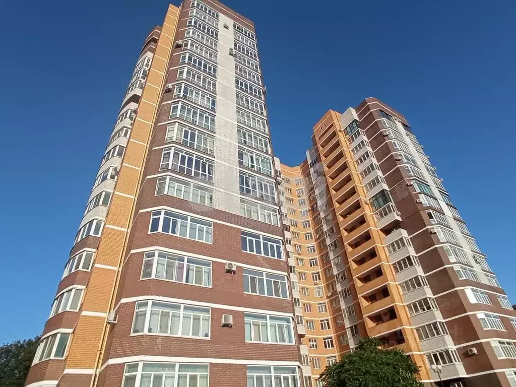 2-к кв. Брянская область, Брянск ул. Фокина, 95 (69.5 м) - Фото 1