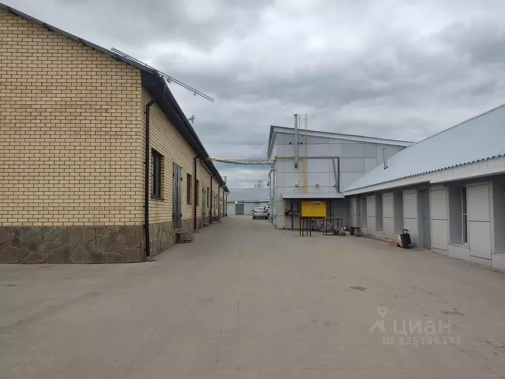 Помещение свободного назначения в Ярославская область, Ярославль ул. ... - Фото 2