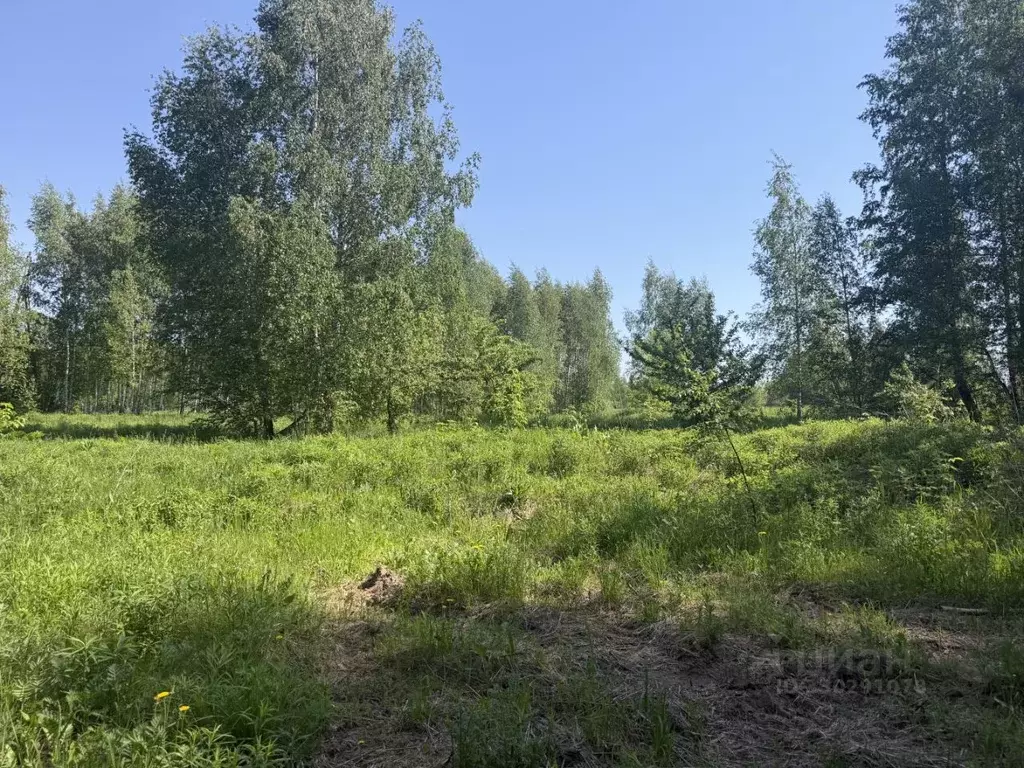Участок в Тульская область, Тула пос. Восточный,  (15.0 сот.) - Фото 1