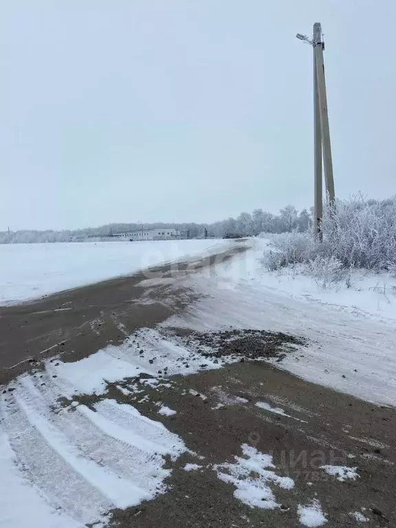 Участок в Воронежская область, Семилукский район, с. Медвежье ... - Фото 0