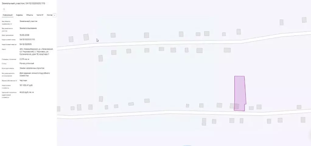 Свободной планировки кв. Новосибирская область, Кочковский район, с. ... - Фото 1