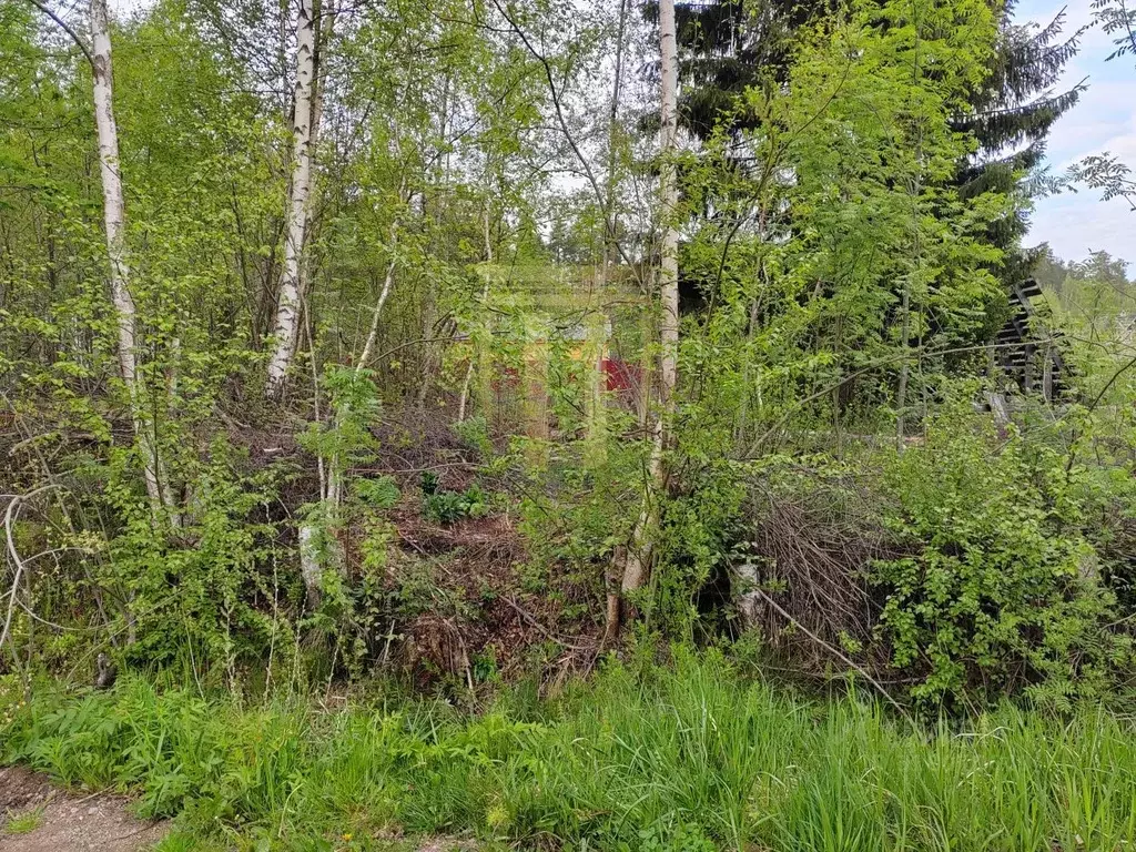 Участок в Ленинградская область, Выборгский район, Полянское с/пос, ... - Фото 1