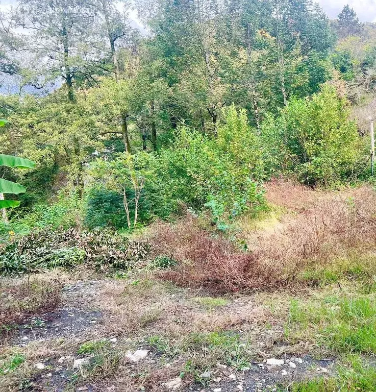 Купить Участок В Сочи Пластунка