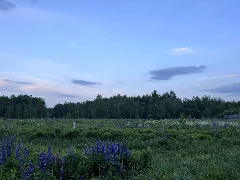 Участок в Нижегородская область, Бор городской округ, д. Макарово 4 ... - Фото 1