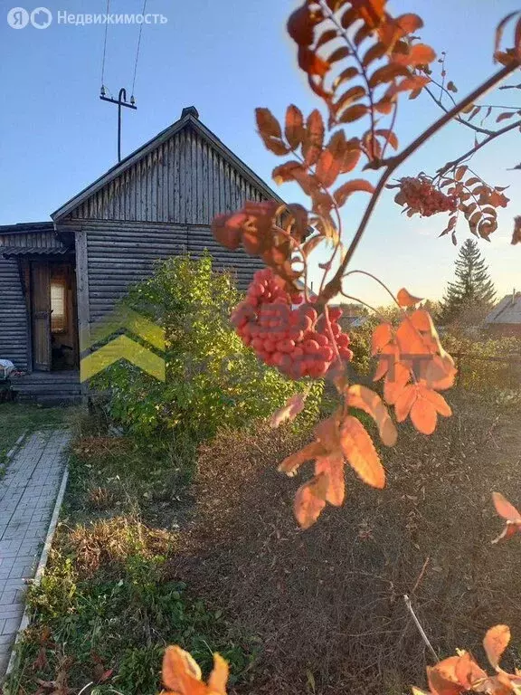 Дом в Омск, территория СОСН Сибирский Садовод-2 (25 м) - Фото 0