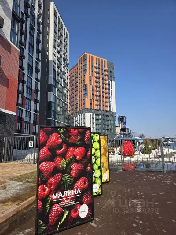 Студия Брянская область, Брянск Советская ул., 124 (31.0 м) - Фото 1