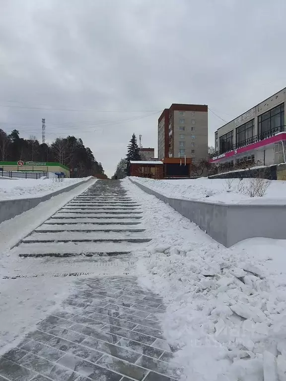 Помещение свободного назначения в Свердловская область, Заречный ... - Фото 1