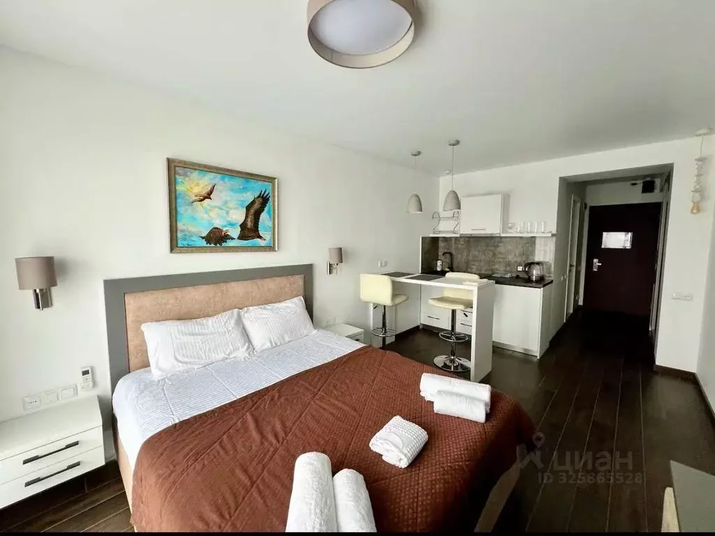 Студия Краснодарский край, Сочи Центральный мкр, ул. Войкова, 35 (28.0 ... - Фото 1