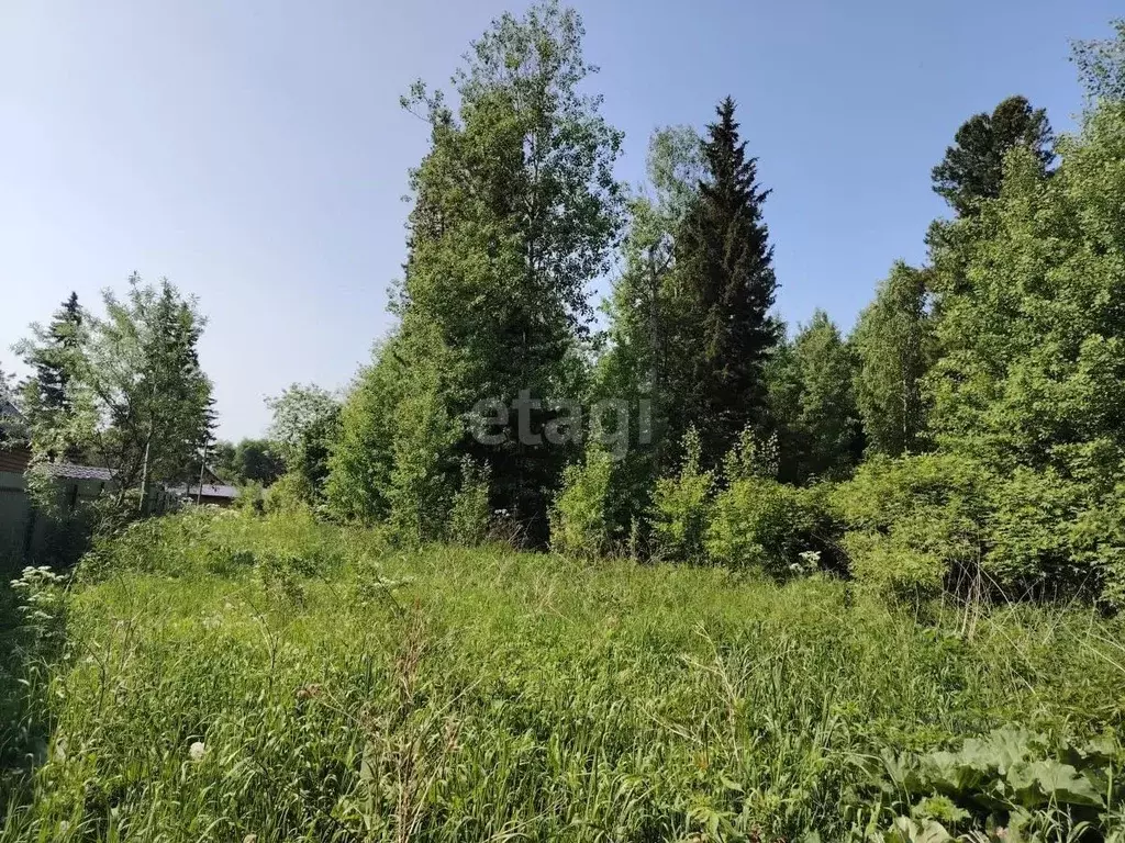 Участок в Томская область, Томский район, д. Кандинка ул. Сибирская ... - Фото 1