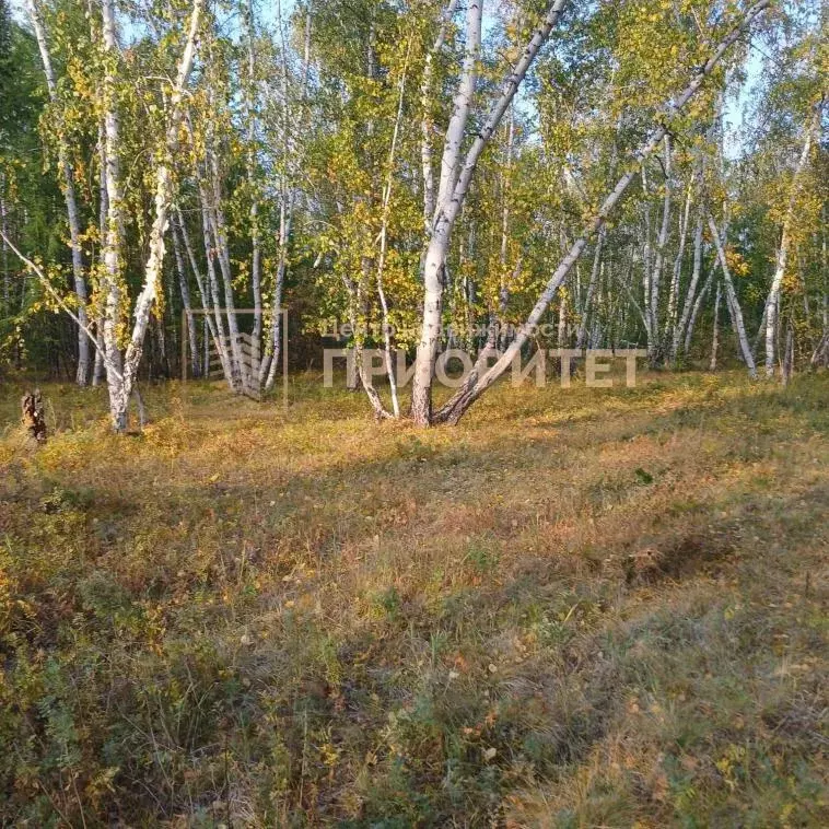Участок, 7 сот., сельхоз (снт или днп) - Фото 0