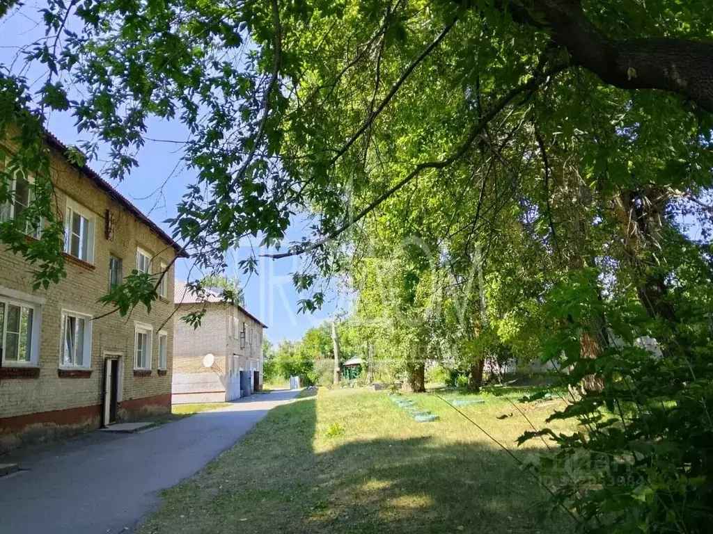 3-к кв. Алтайский край, Новоалтайск ул. 1-я Ипподромная, 20 (53.0 м) - Фото 1