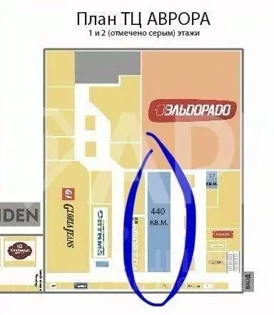 Торговая площадь в Удмуртия, Ижевск Удмуртская ул., 304 (440 м) - Фото 2