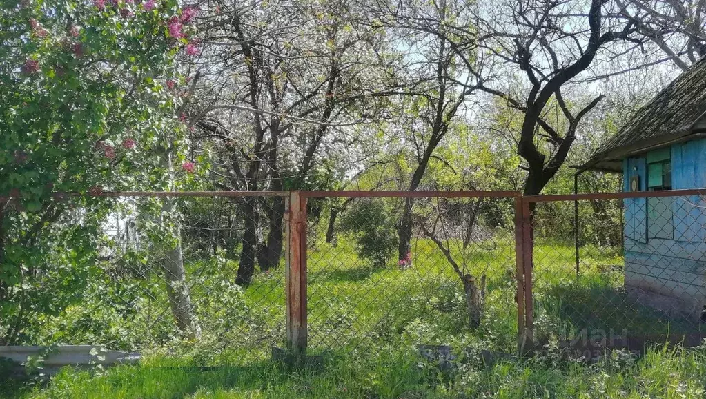Участок в Адыгея, Майкоп Птицевод СДТ, ул. Виноградная (5.2 сот.) - Фото 1