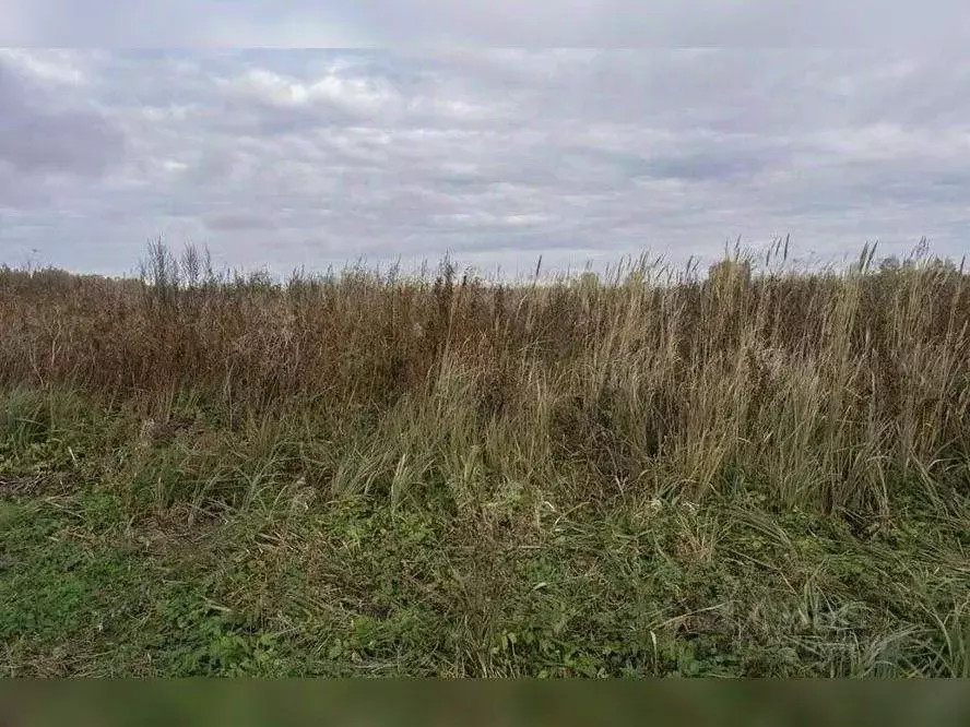 Участок в Московская область, Клин городской округ, д. Богаиха  (10.0 ... - Фото 1