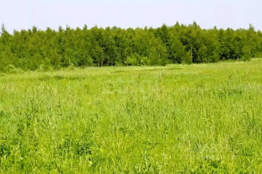 Участок в Бурятия, Улан-Удэ Весна ДНТ, К1 (8.0 сот.) - Фото 0